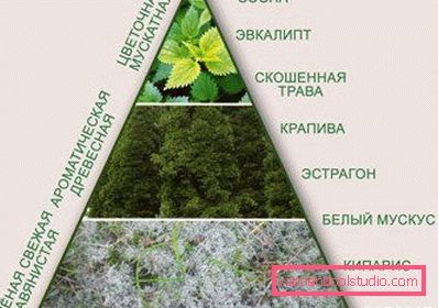 herbs for hair loss herbs for hair loss