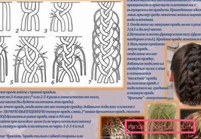 detailed scheme of creation detailed scheme of creation