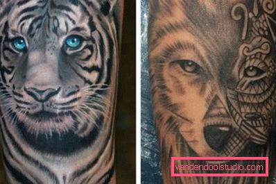 Tiger and wolf on hand