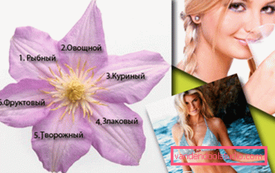six petals diet six petals diet