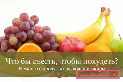 fruits fruits