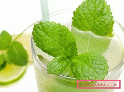 lime and mint drink lime and mint drink