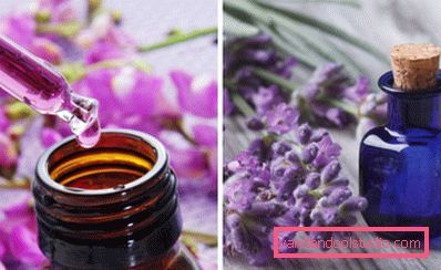 fragrant lavender fragrant lavender