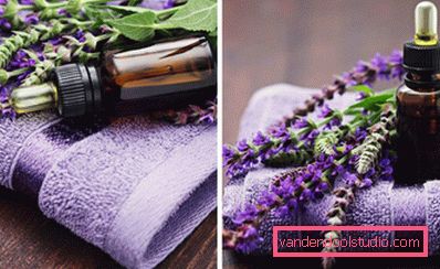 lavender lavender