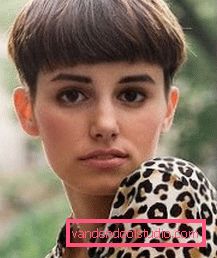 Haircut page Elegant haircut page for short and medium hair