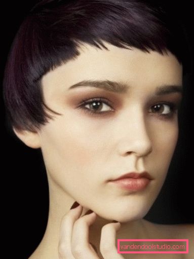 Haircut page Elegant haircut page for short and medium hair