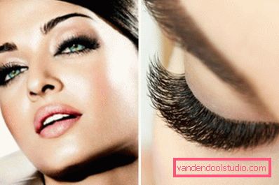 Hollywood lashes Hollywood lashes