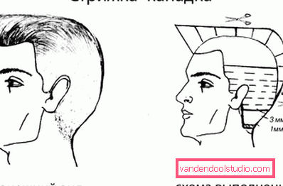 Canadian - the most trendy male haircut
