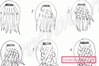 6 strand braid