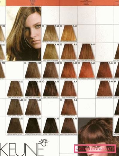 Dye for gray hair - how to choose