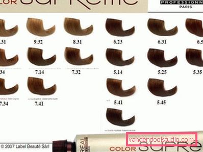 Dye for gray hair - how to choose