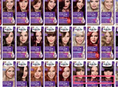 Dye for gray hair - how to choose
