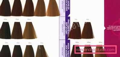 Dye for gray hair - how to choose