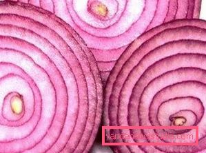 Lilac Onion Lilac Onion