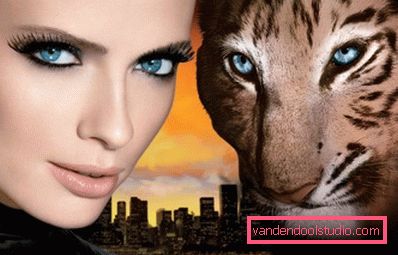 girl and wild cat girl and wild cat