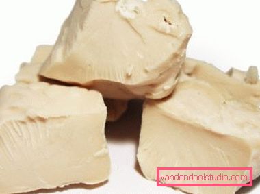 yeast pieces