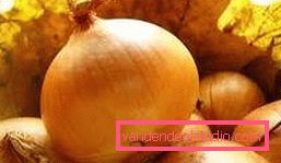 onion