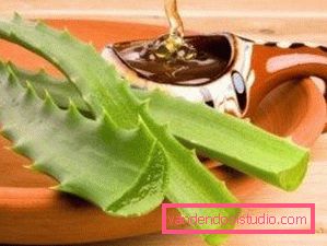aloe aloe