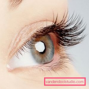 Eyelash Care Oils