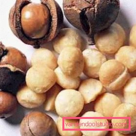 Macadamia oil for hair