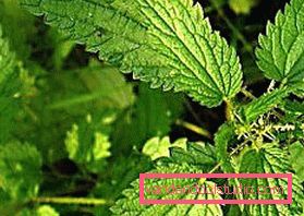 Herbal decoctions for hair