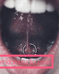 bridle under the tongue bridle under the tongue