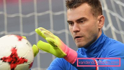 Igor Akinfeev's hairstyle - photo