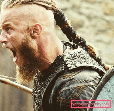 Hair Ragnar Lodbroka from the TV series 