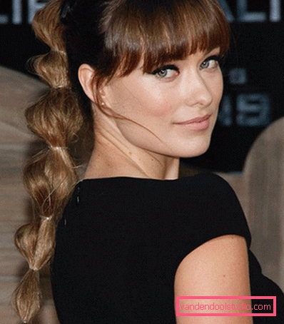 ponytail ponytail