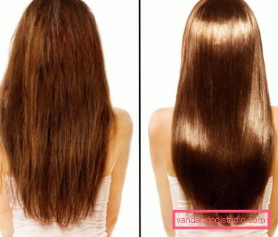Happiness for hair from Lebel - a professional procedure for recovery