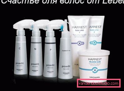 Happiness for hair from Lebel - a professional procedure for recovery