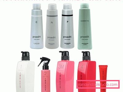 Happiness for hair from Lebel - a professional procedure for recovery