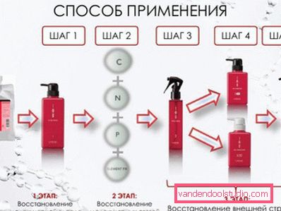 Happiness for hair from Lebel - a professional procedure for recovery