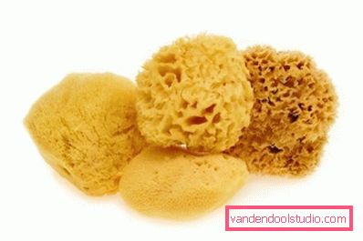 sea sponge for makeup sea sponge for makeup