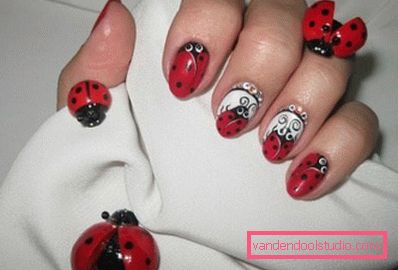 ladybug drawing ladybug drawing