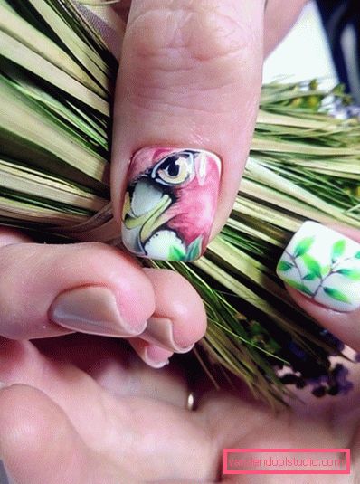 Fashion nails in the season 2019-2020 - fresh photo examples of design