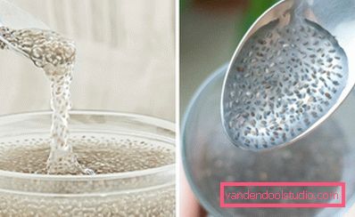 chia gel chia gel