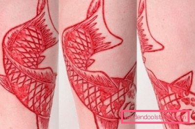 fish scarification fish scarification