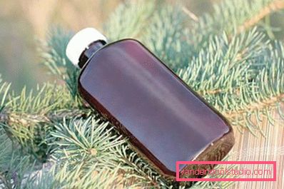 bottle on coniferous branches bottle on coniferous branches