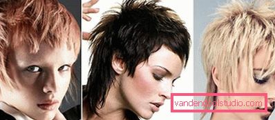 Haircut Gavrosh for medium and short hair - women's and men's hairstyles