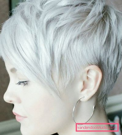 Haircut Pixie for short hair 2018 - 2019 - photos from all sides