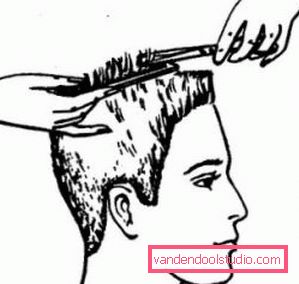 Technology perform haircut playground Shearing the playground and its execution technology