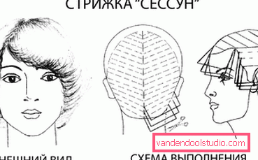 hairstyle hairstyle
