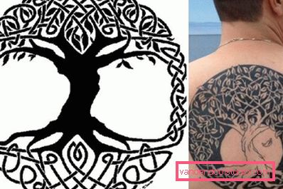 celtic tree symbol celtic tree symbol