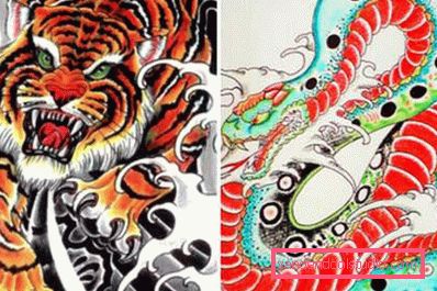 Tiger and snake