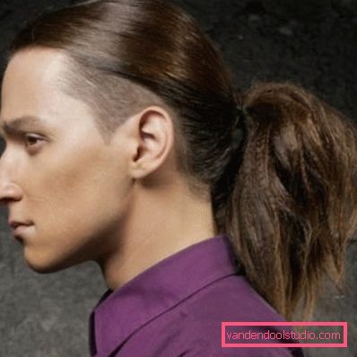 Types of men's hairstyles with a tail