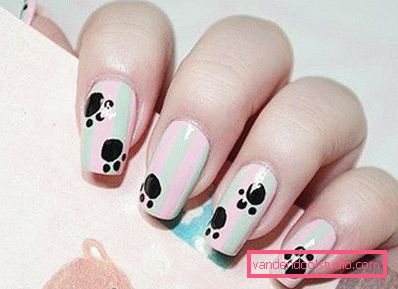 paw design paw design